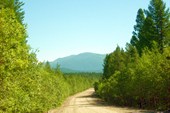 07_26 (6)